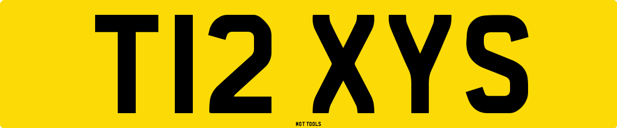 T12XYS MOT Check