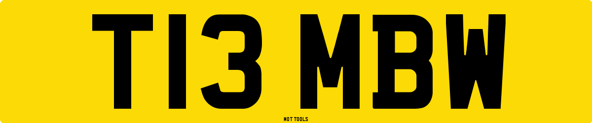 T13MBW MOT Check