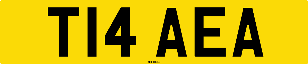 T14AEA MOT Check
