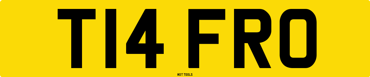 T14FRO MOT Check