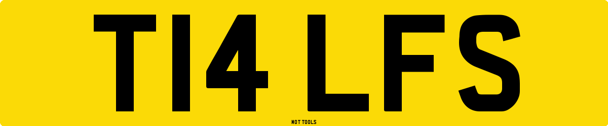 T14LFS MOT Check