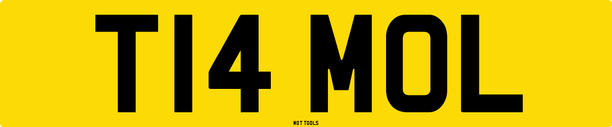 T14MOL MOT Check