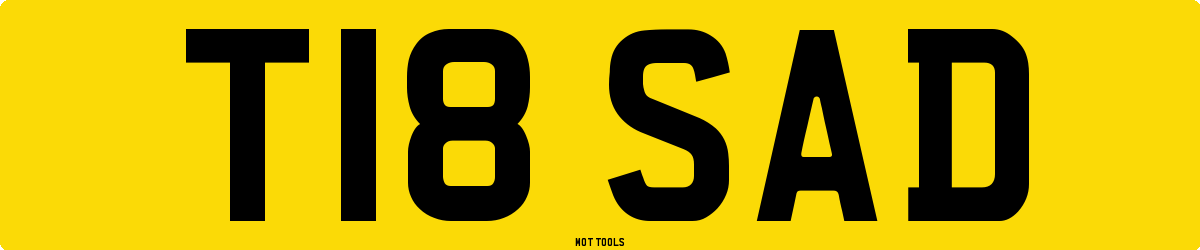T18SAD MOT Check
