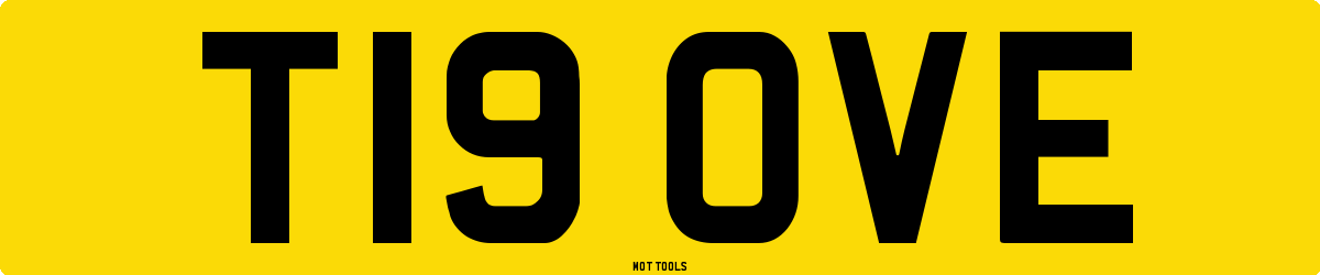 T19OVE MOT Check