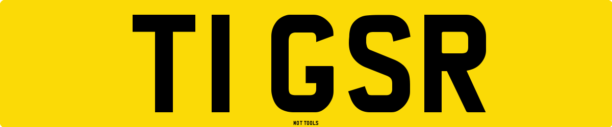 T1GSR MOT Check