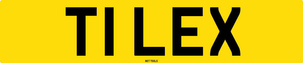 T1LEX MOT Check