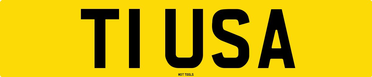 T1USA MOT Check