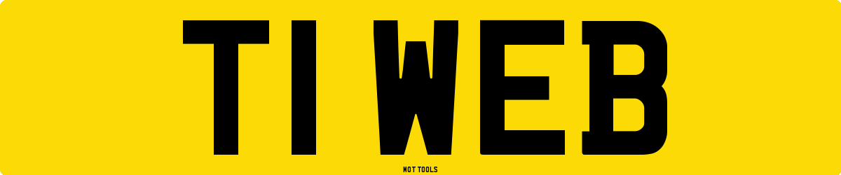 T1WEB MOT Check