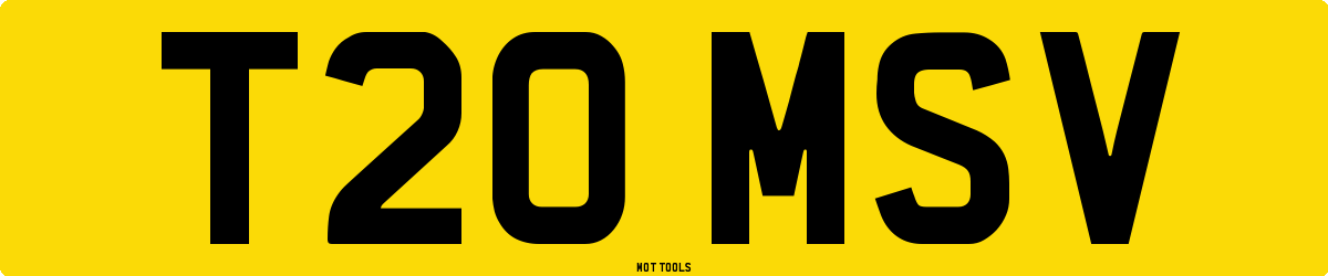 T20MSV MOT Check