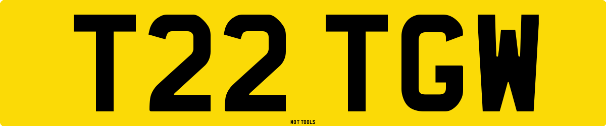 T22TGW MOT Check
