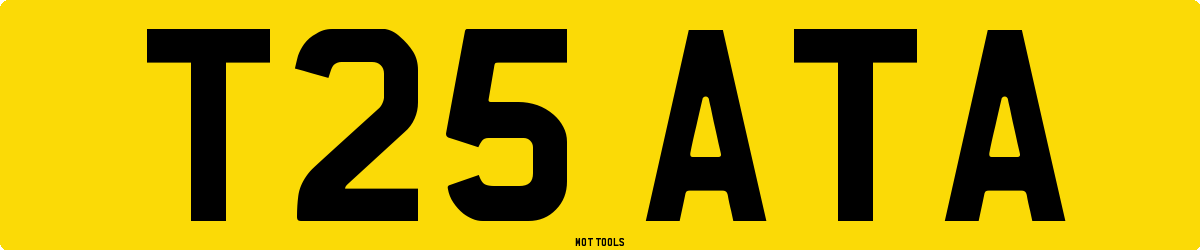 T25ATA MOT Check