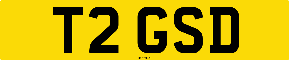 T2GSD MOT Check