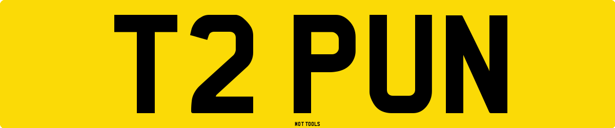 T2PUN MOT Check