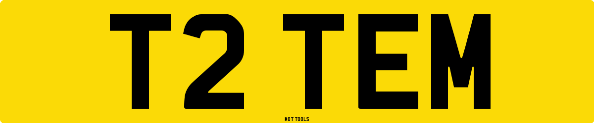 T2TEM MOT Check
