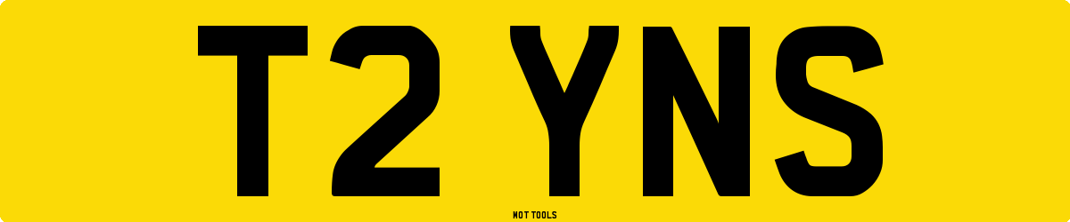 T2YNS MOT Check