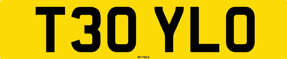 T30YLO MOT Check