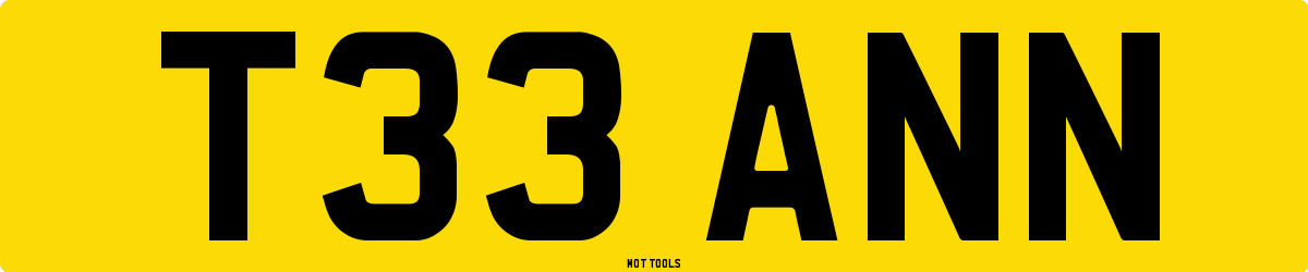 T33ANN MOT Check