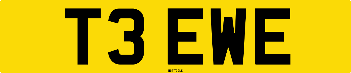T3EWE MOT Check