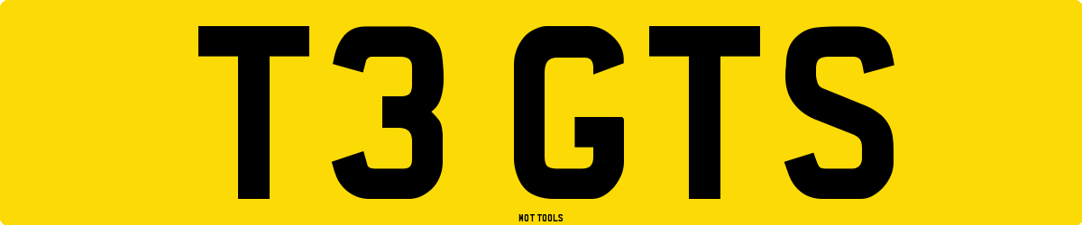 T3GTS MOT Check