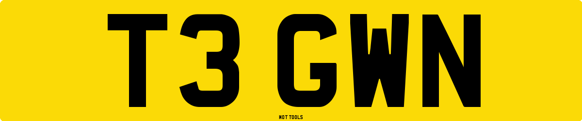 T3GWN MOT Check
