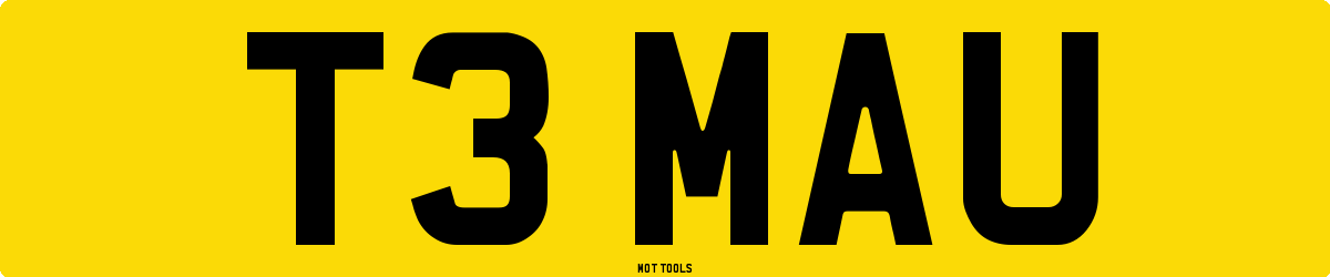T3MAU MOT Check