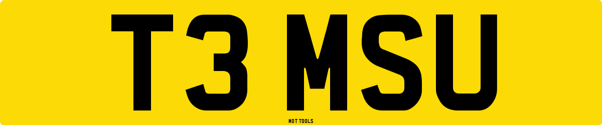 T3MSU MOT Check