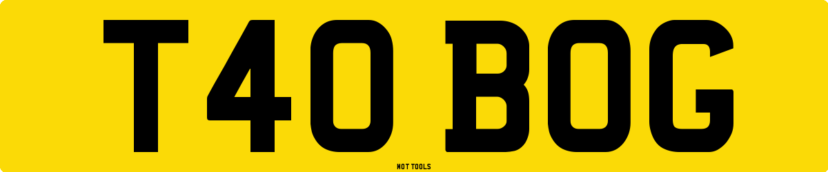 T40BOG MOT Check
