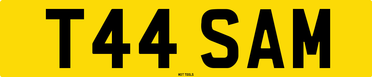 T44SAM MOT Check