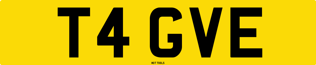T4GVE MOT Check