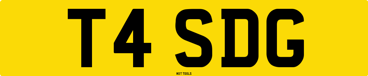 T4SDG MOT Check