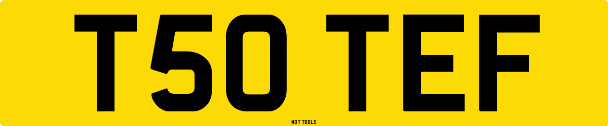 T50TEF MOT Check