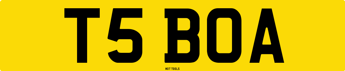 T5BOA MOT Check