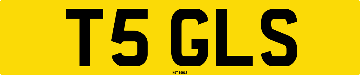 T5GLS MOT Check
