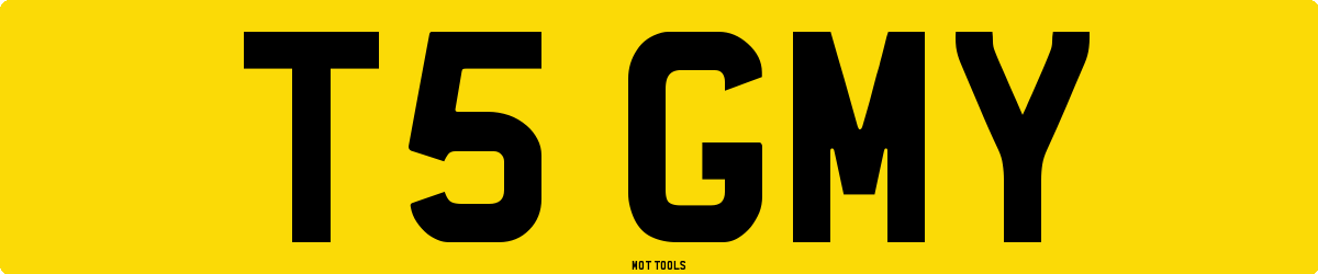 T5GMY MOT Check