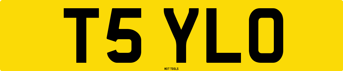 T5YLO MOT Check