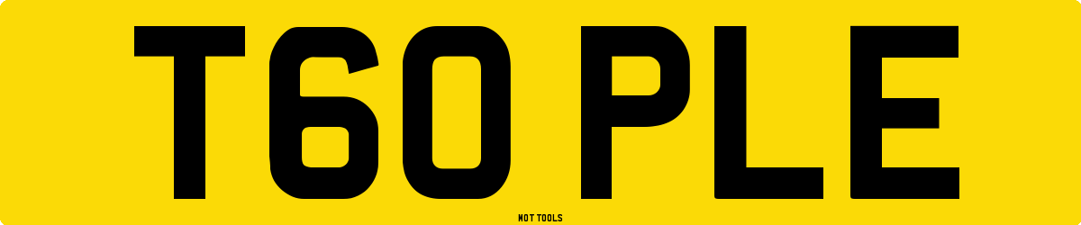 T60PLE MOT Check