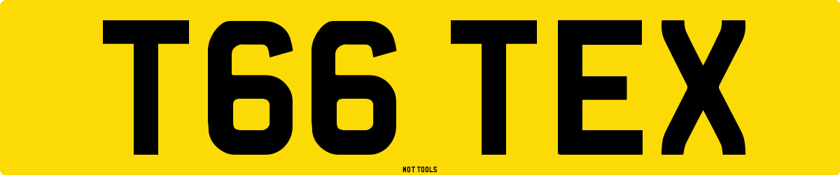 T66TEX MOT Check