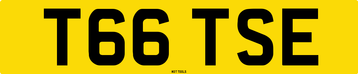 T66TSE MOT Check