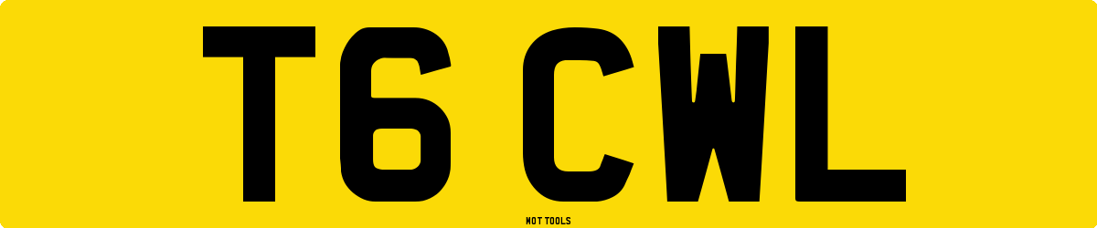 T6CWL MOT Check
