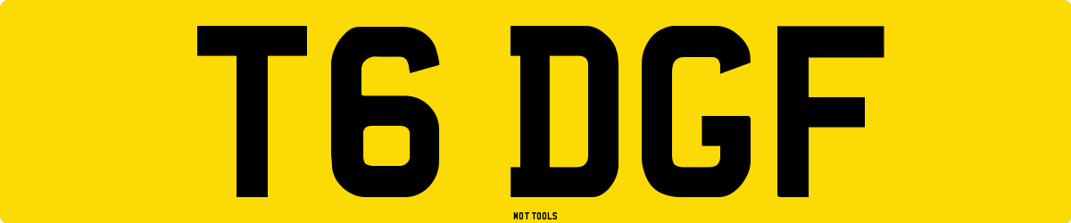 T6DGF MOT Check