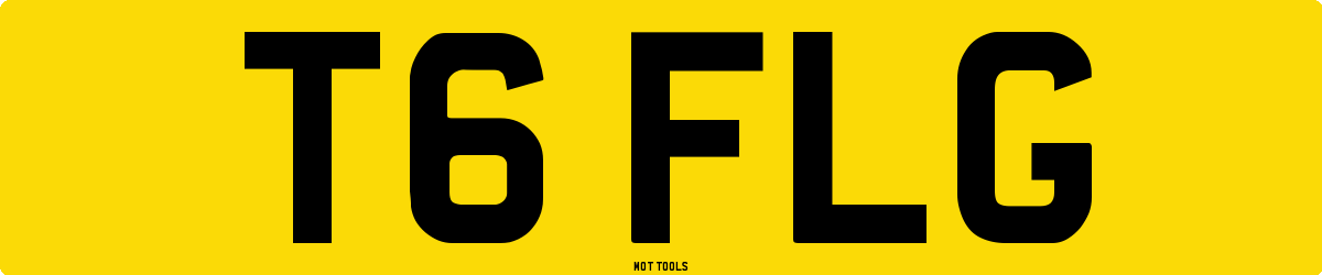 T6FLG MOT Check