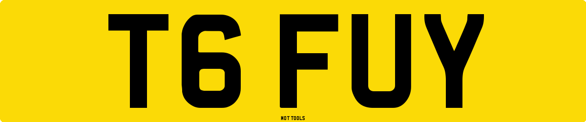 T6FUY MOT Check