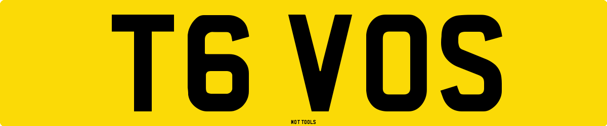 T6VOS MOT Check