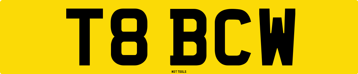 T8BCW MOT Check