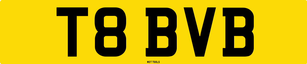 T8BVB MOT Check