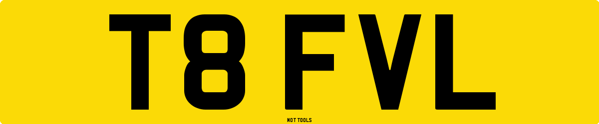 T8FVL MOT Check