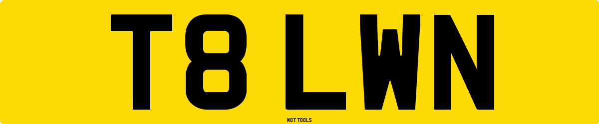 T8LWN MOT Check