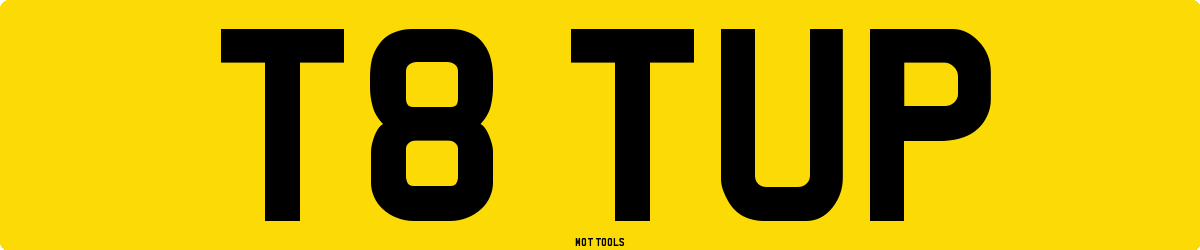 T8TUP MOT Check