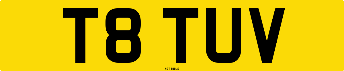 T8TUV MOT Check