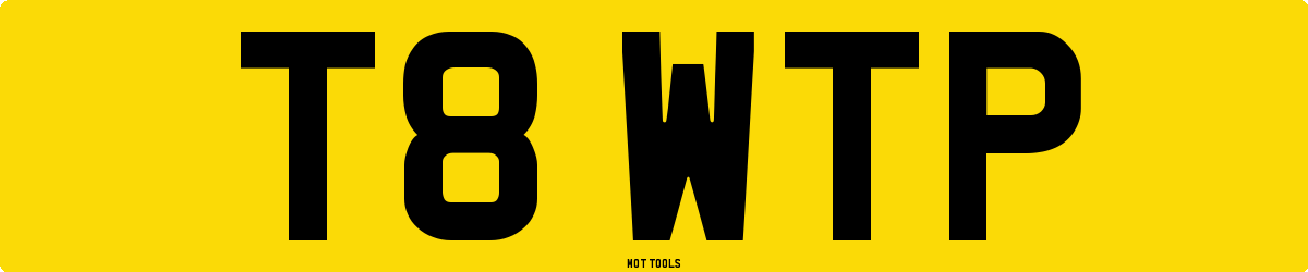 T8WTP MOT Check